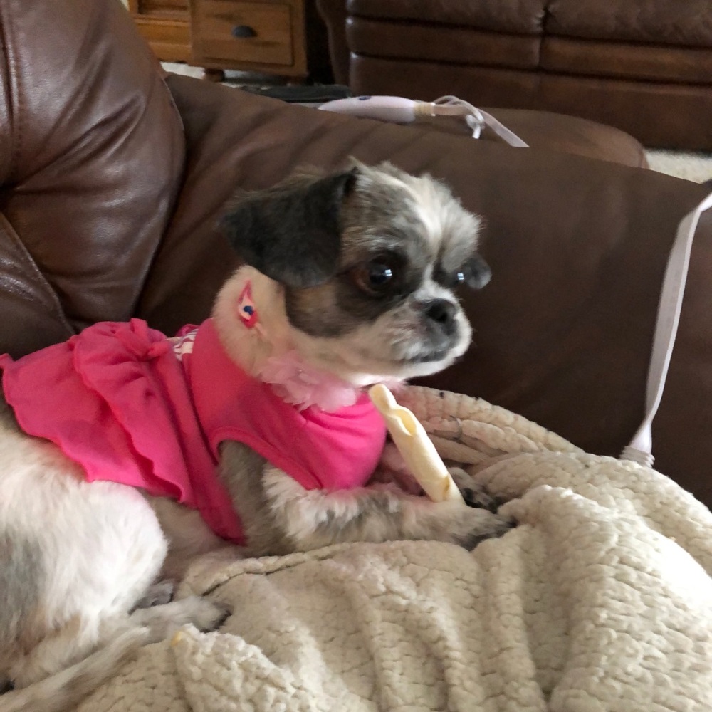 Meet your Posher, Kim